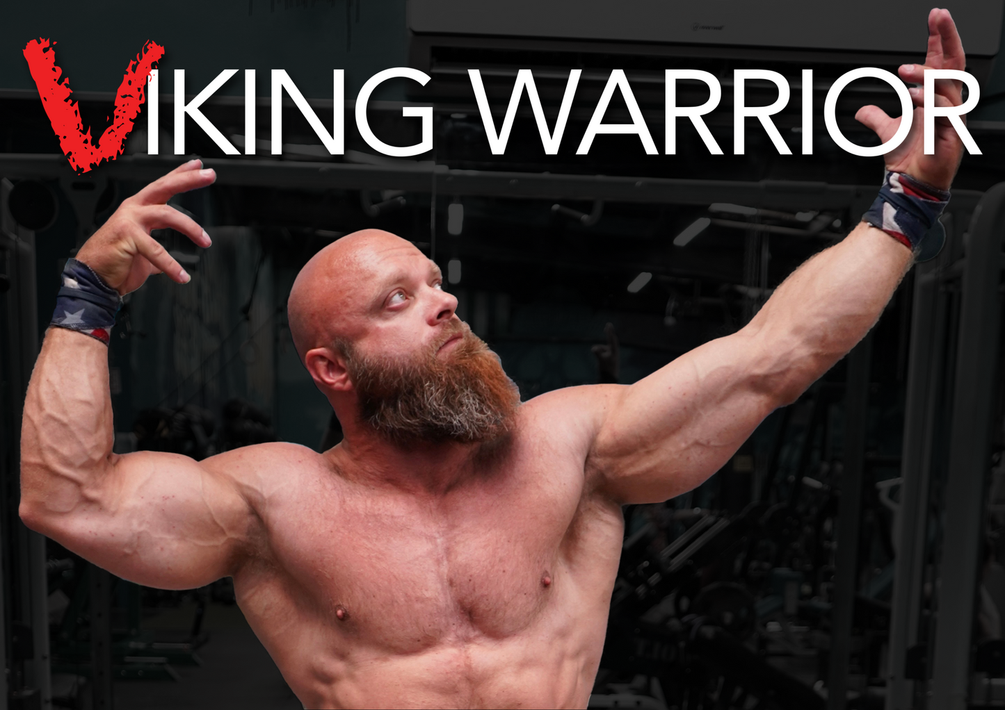 Viking Warrior cover