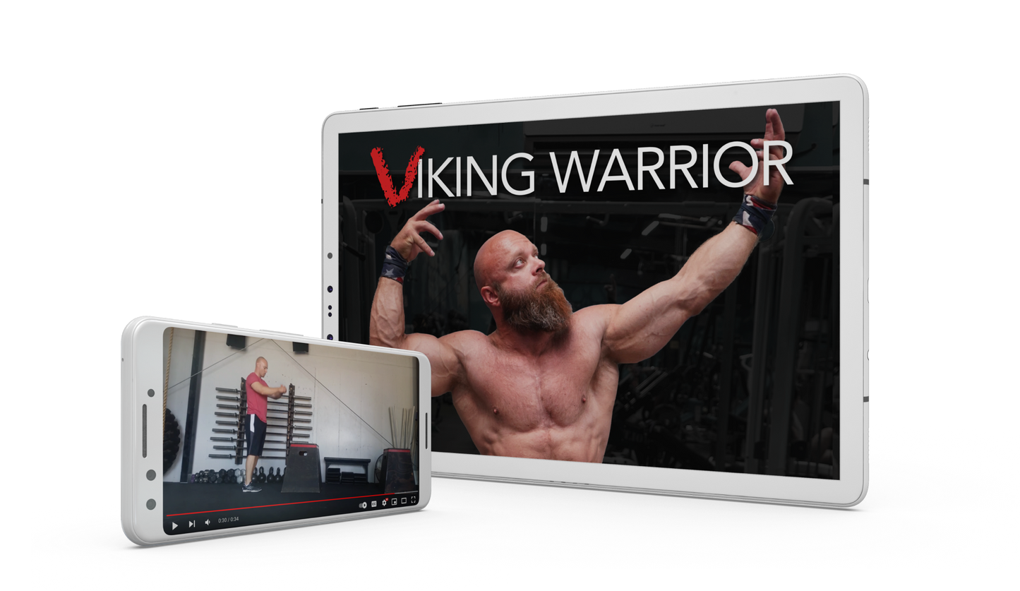 Viking Warrior cover on tablet with mobile video example